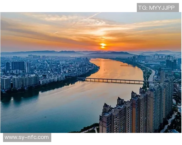 深圳篮球队在联合会杯中的辉煌征程与突破成就全景回顾